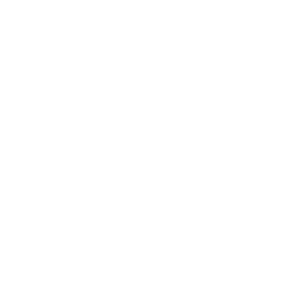 CI Consulting